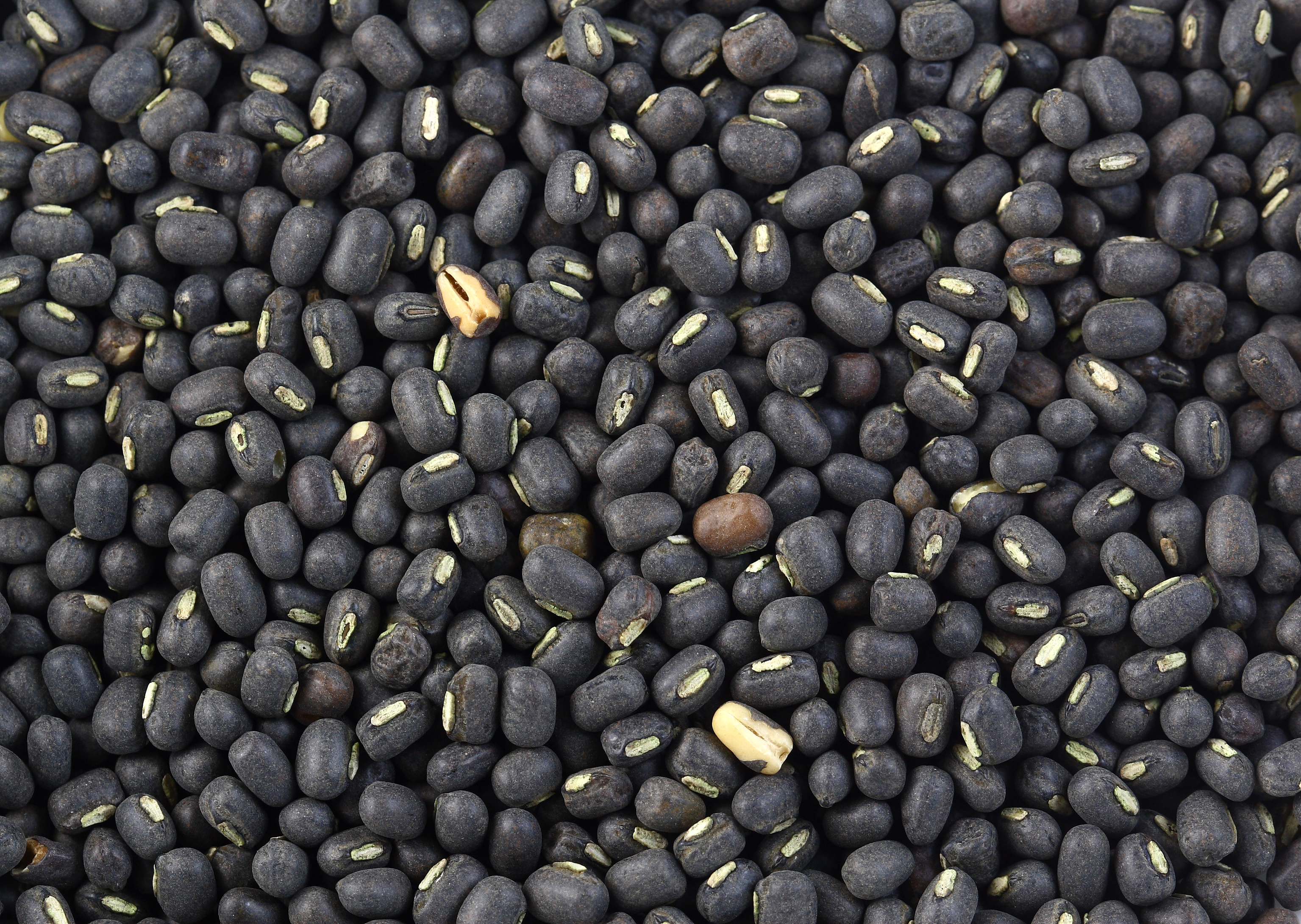 Mash Seeds