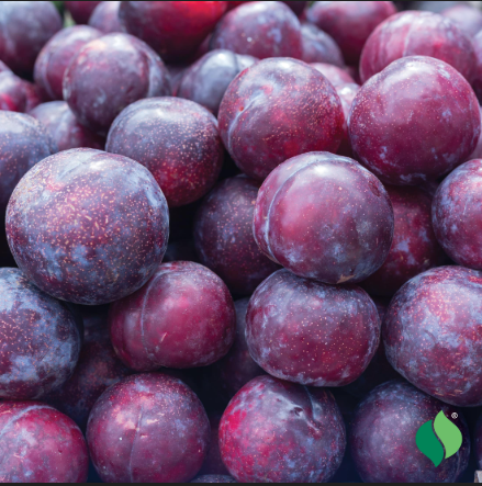 Plum