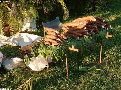 Taro Root (Arvi)